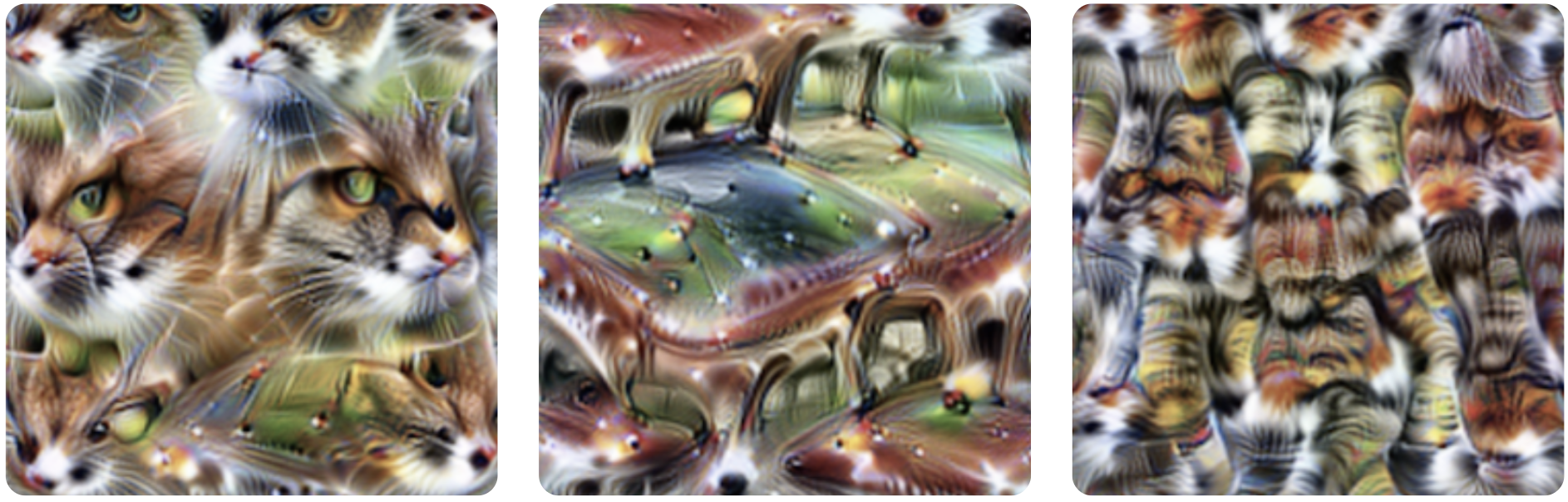 Examples of images on which a particular neuron has high activation.